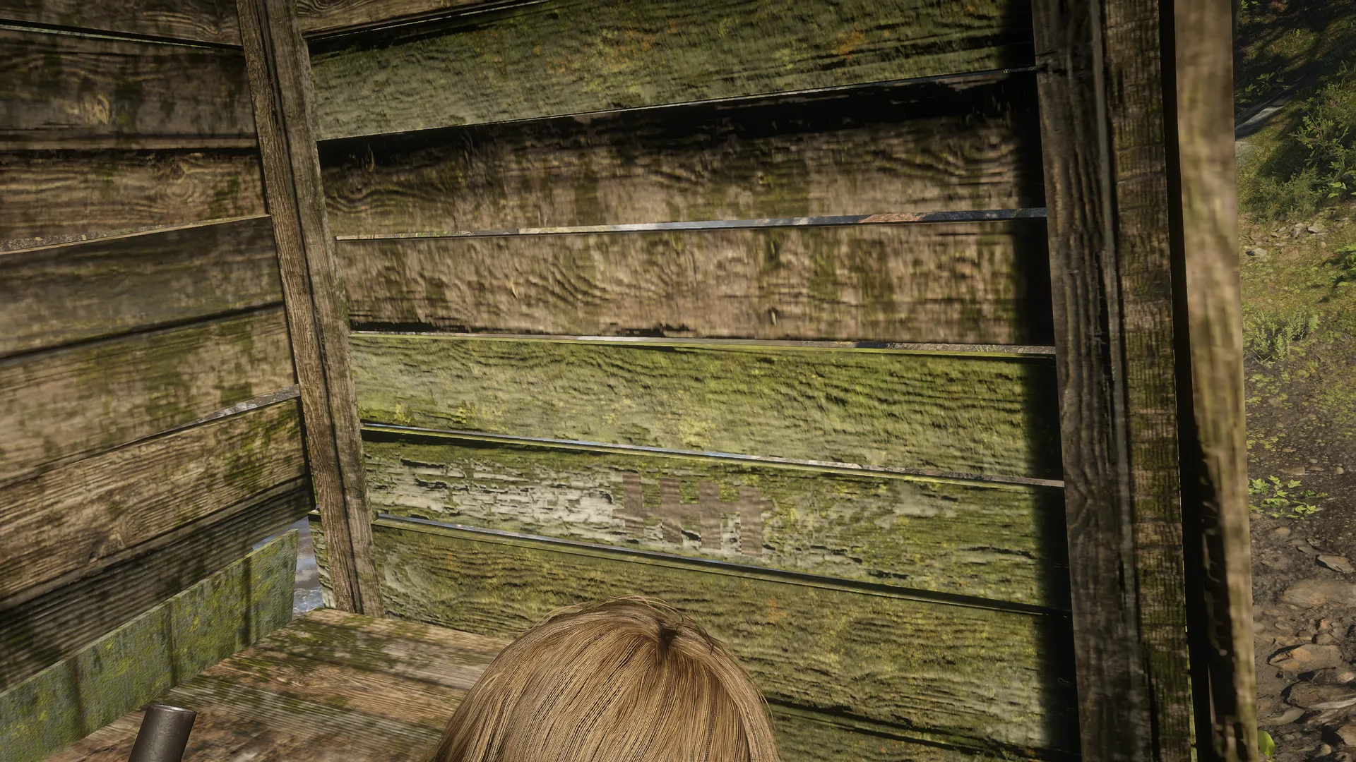 Arthur's over-the-shoulder view inside Outhouse 5, facing five tally marks on a moss-stained wooden wall.